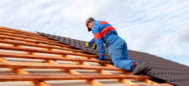 Gutter Replacement in Cole Camp, MO