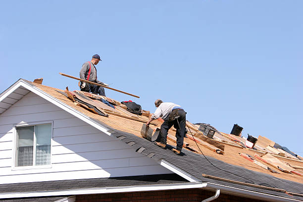 Best Roofing for New Construction  in Cole Camp, MO
